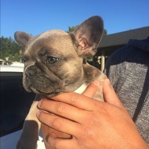 Meet your Posher, Sergio